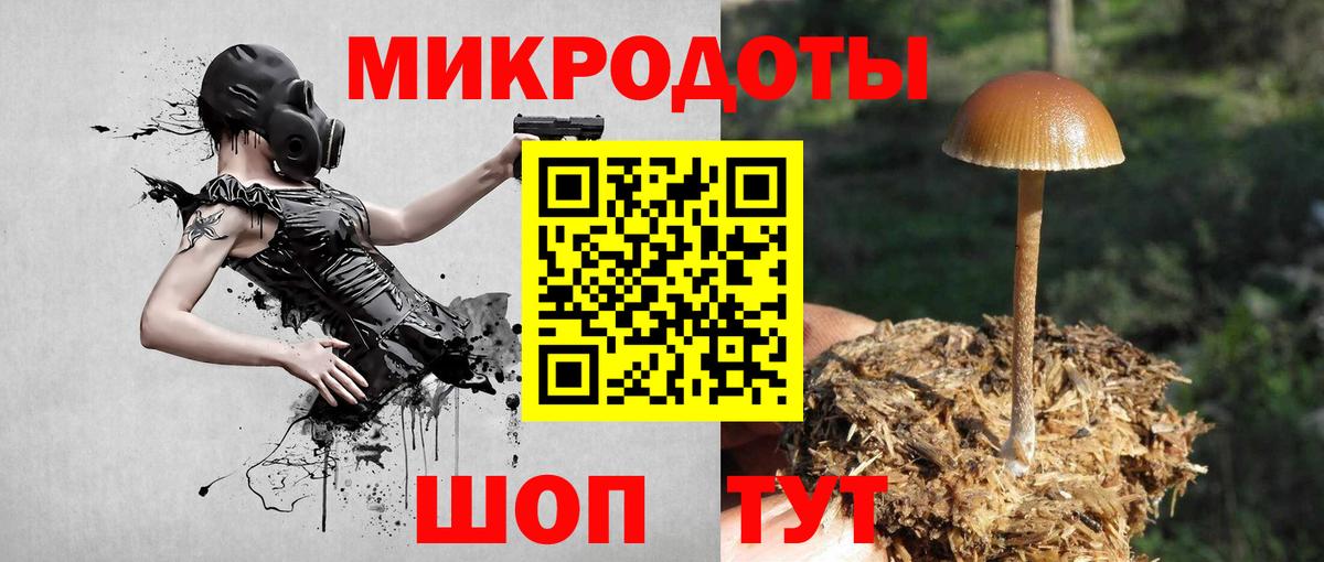 Миасс  Псилоцибиновые грибы Cubensis  Галлюциногенные грибы Cubensis  Вход с VPN 